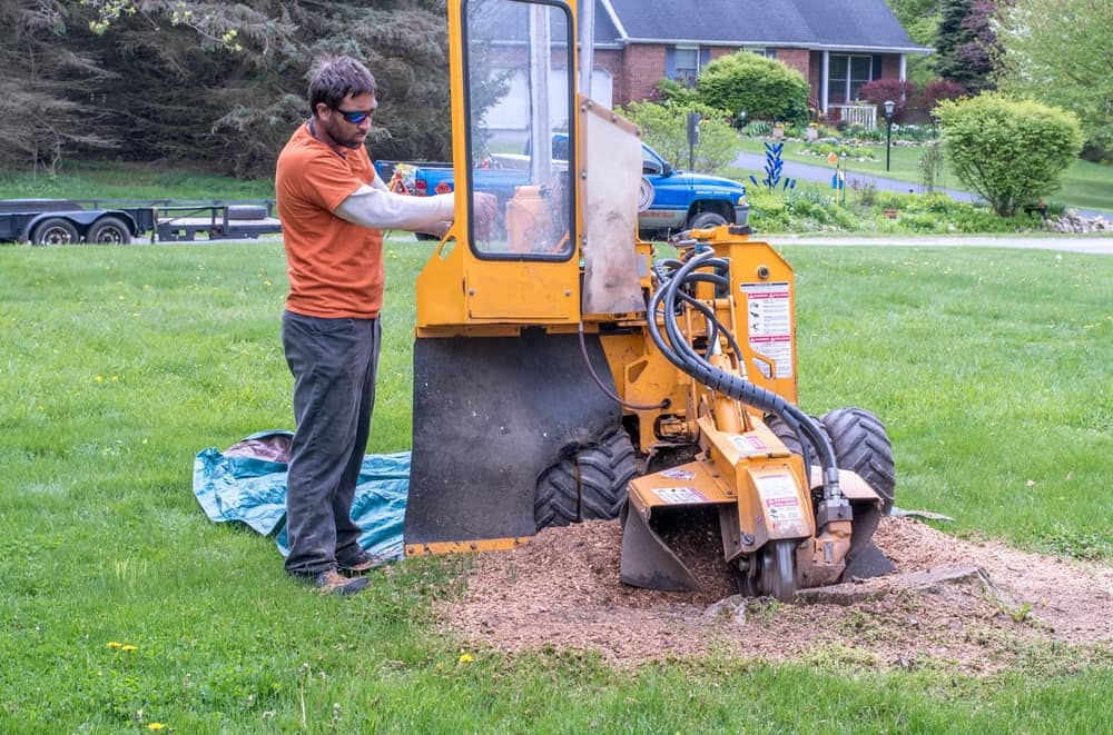 Man using Stump Grinder