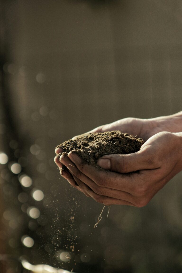 Soil being held in hands, ready for planting or gardening, showcasing quality soil products.